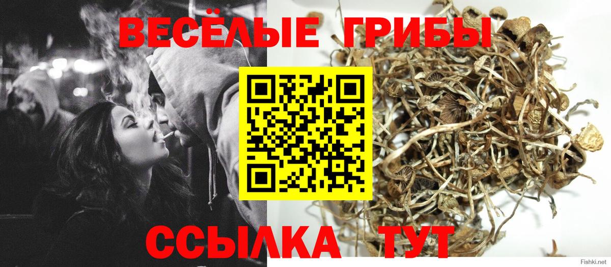 Лысьва  Галлюциногенные грибы мухоморы  Вход с VPN  Галлюциногенные грибы мицелий 