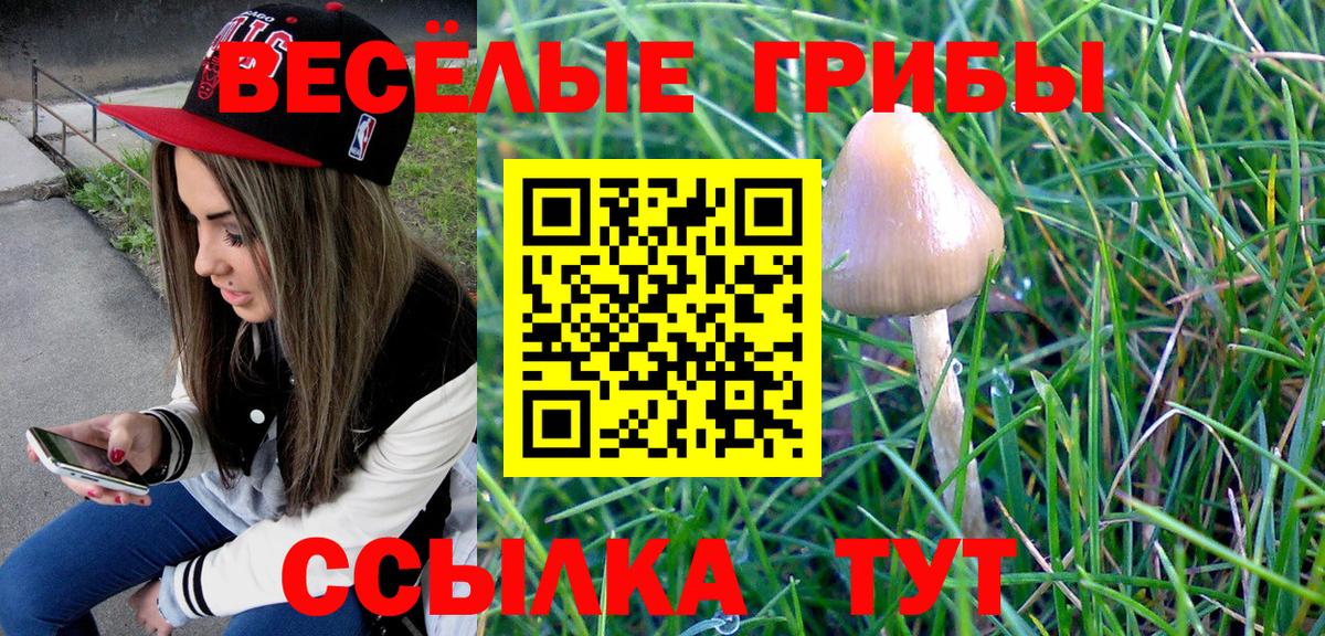 Галлюциногенные грибы Psilocybe Лысьва